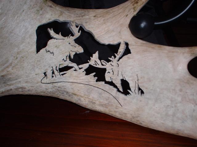 200712343518_Mymooseantler2.jpg