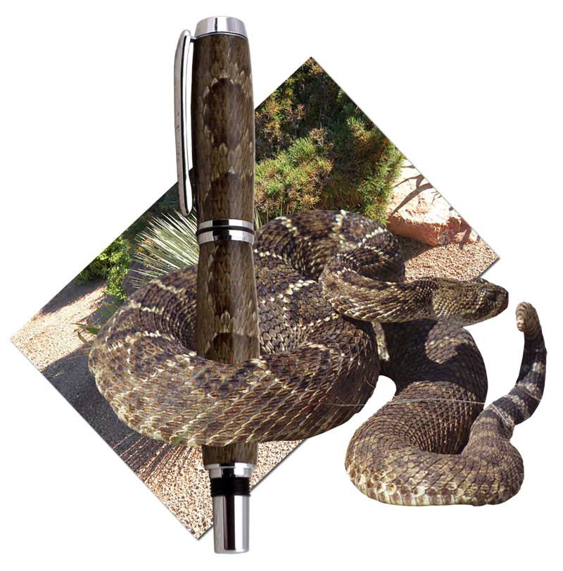 2007174455_snake1.jpg