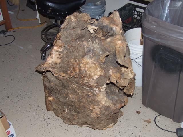 200721223323_buckeyeburl_log.jpg