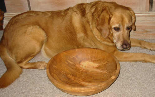 200721232052_newgingerbowl.jpg