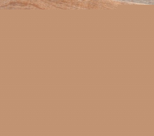 20072141659_n4631x-2.jpg