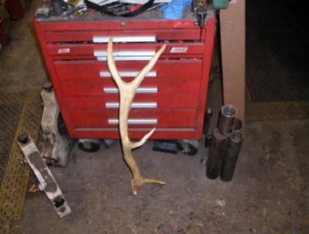 2007221201420_antler1.jpg
