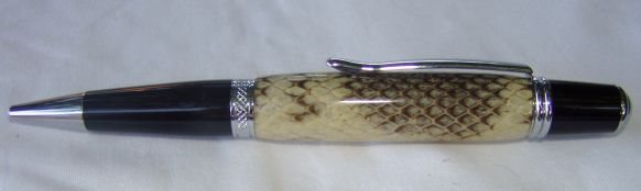20072641341_SierraSeaSnake.jpg
