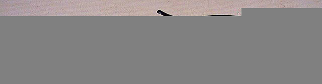 200731003358_100_0754.jpg