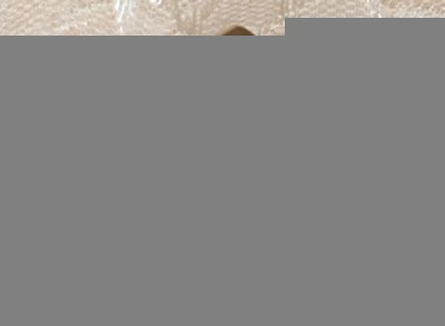 2007311212114_circlestripe2.jpg