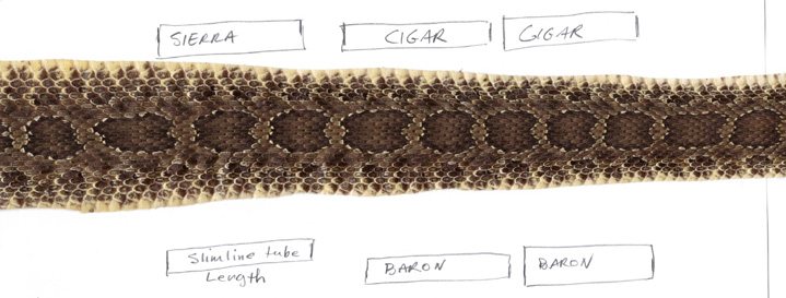 20073201255_skin%20scan%201.jpg