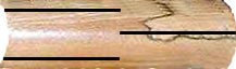 2007323173058_wood_collet.jpg