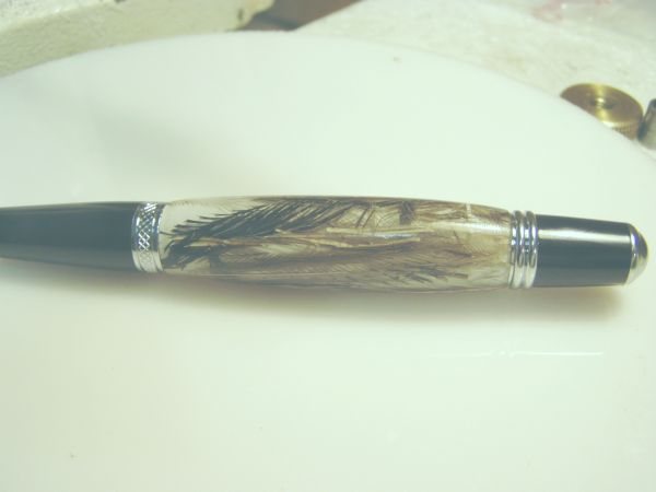 200732643926_Emu%20pen.jpg