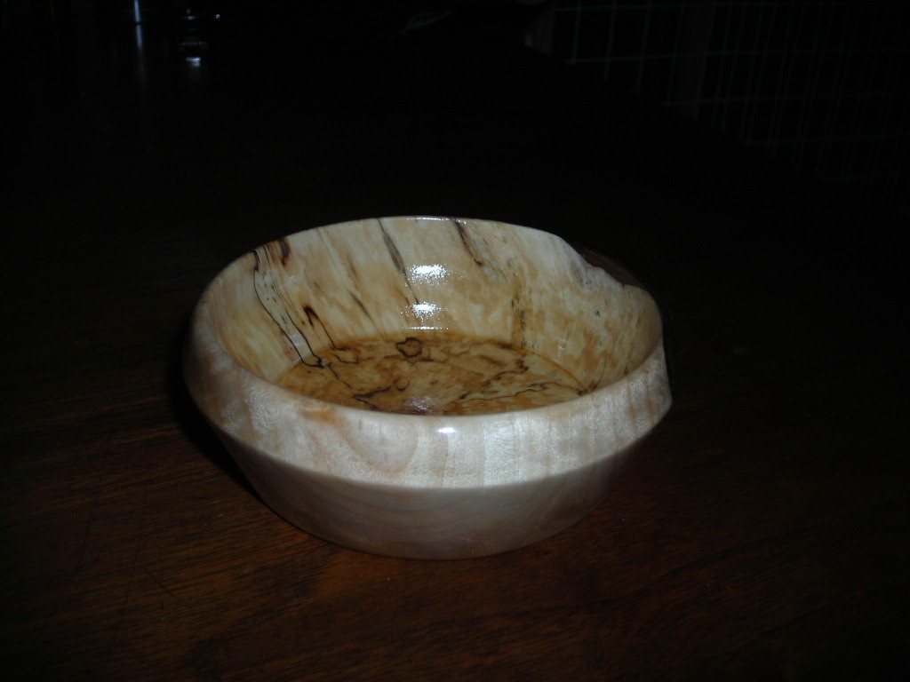 200732823445_SpaltedHackberry0754.jpg