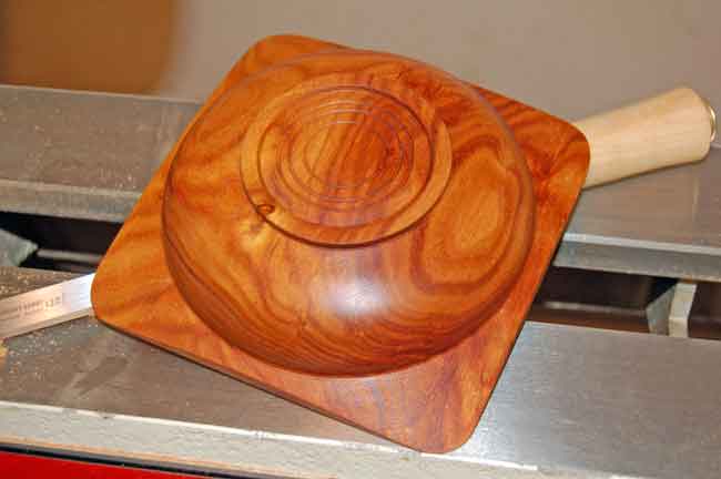 200733025825_Canary-oiled-2.jpg