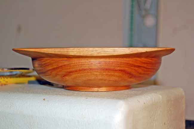 200733025838_Canary-oiled-3.jpg