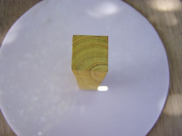 200733142445_smoketree4.jpg
