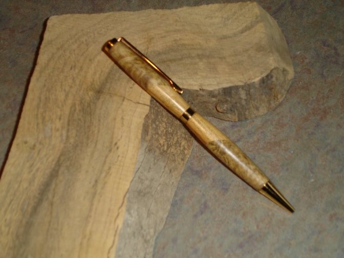 20073812011_firstpen.jpg