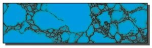 200738213835_Trustone%20turquoise.jpg