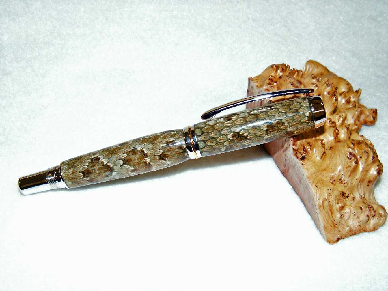 2007412324_snakeskin%20fountain%202.jpg