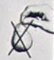 200743016222_A_Nice_Pair.jpg