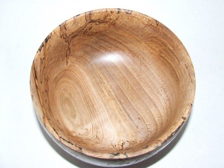 20074613323_AMBROSIA%20MAPLE.jpg