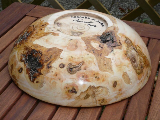 200751542020_Cerisier%20du%20Japon02.jpg