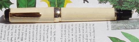 2007529223021_holly4.gif