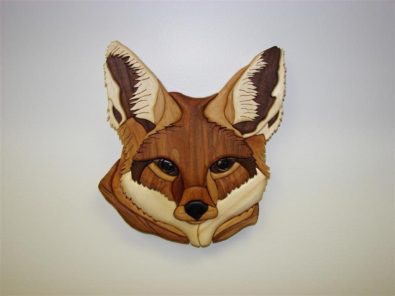 2007625224042_Fire%20Fox.jpg