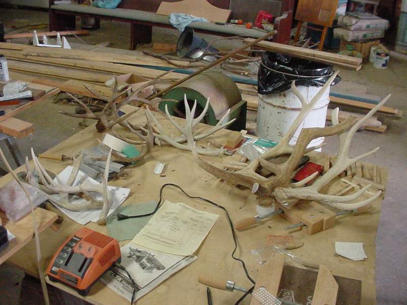 200762525447_Antler.jpg