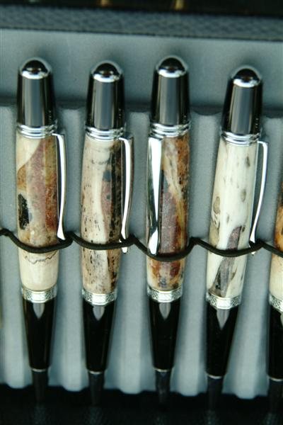 2007628457_alligatorpens.jpg