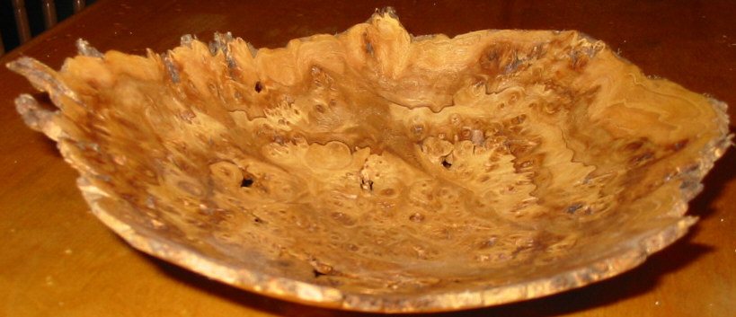200763013324_elm%20burl%201.jpg