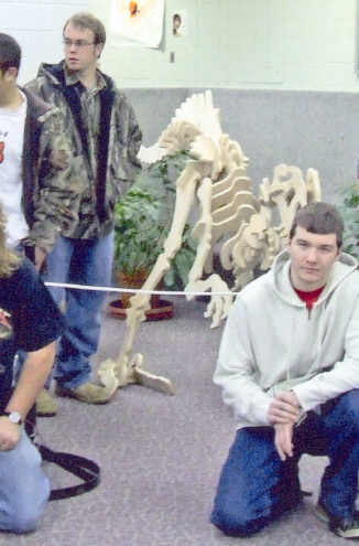 200763015511_dino.jpg