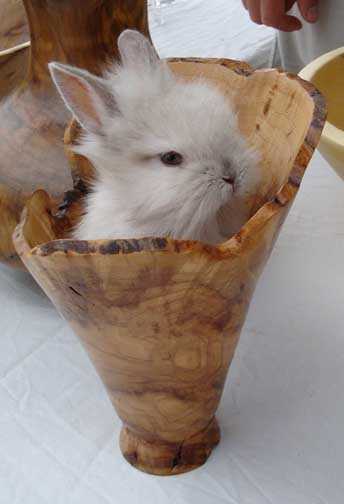 20076517530_BubblesVase4.jpg