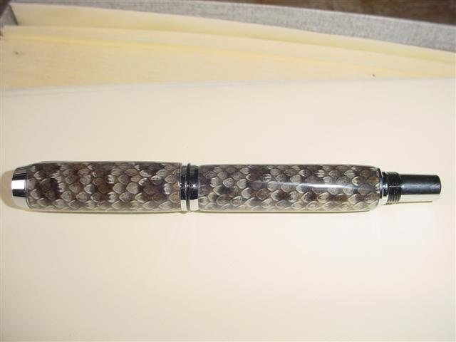 200768161522_snakedonwardnet.jpg