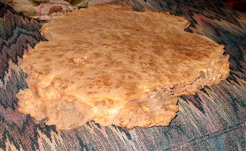 20077165413_mystery_burl.jpg