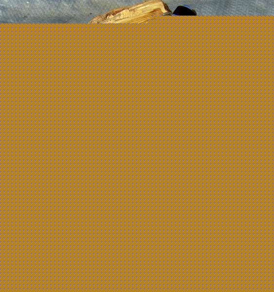 2007731222456_bc2.jpg