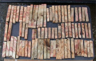 200781135438_BackyardBoxElder6.jpg