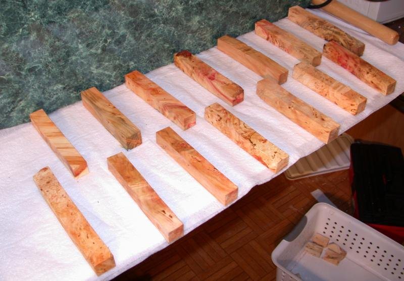 200781532547_BackyardBoxElderBlanks.jpg