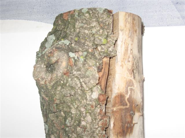 2007816142812_small1.jpg