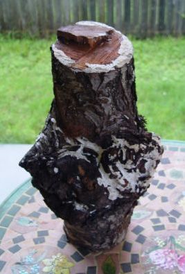 2007820192241_Wood%20Teaser%201.jpg