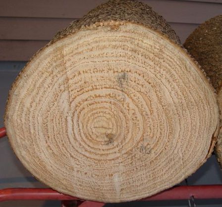 2007820214444_Logs2.jpg