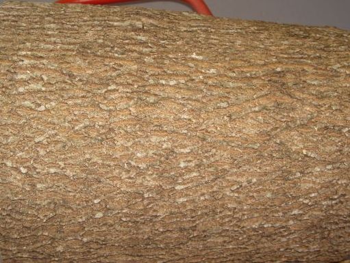 2007820214457_Log3.jpg