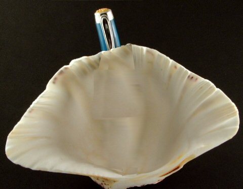 200782720244_pen1.jpg