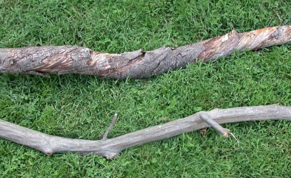 200783014435_001.jpg
