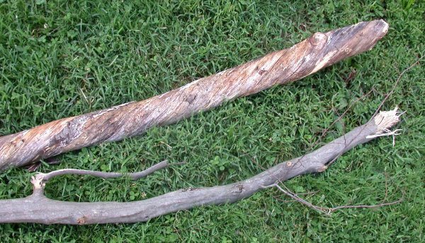 20078301450_002.jpg