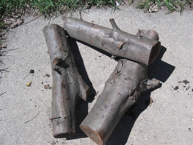 2007830175727_s1.jpg