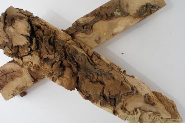 2007833387_spalted%20euc%20600.jpg