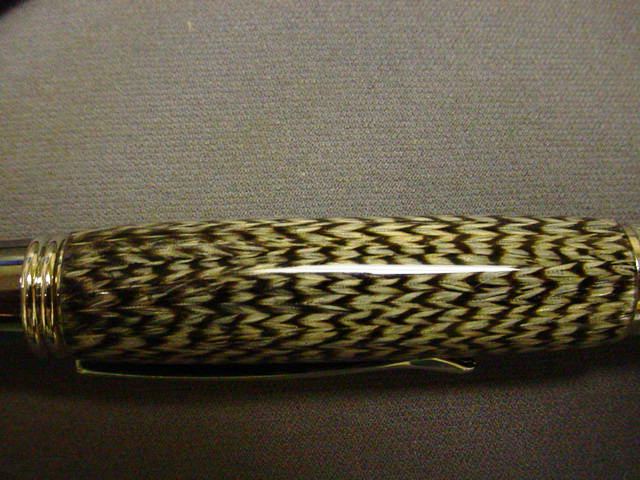 2007910133428_DSC03563.jpg