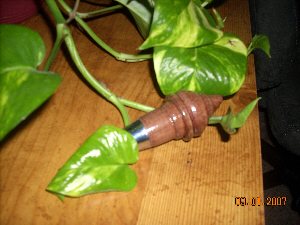 200791203832_bottlestopper.jpg