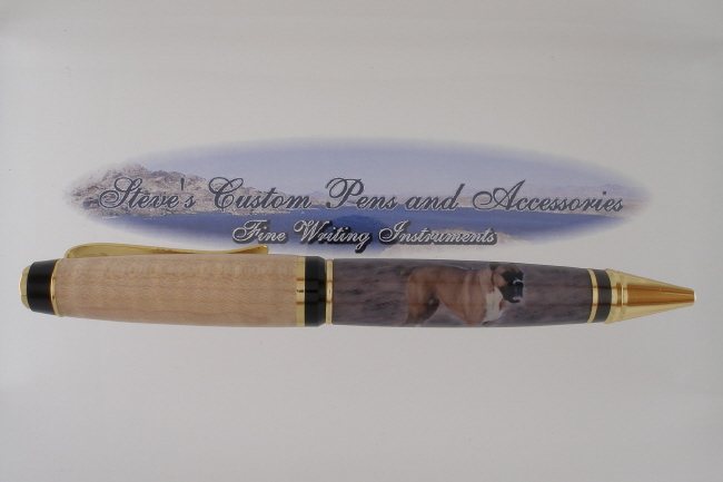 200791619148_patients%20pen%20finished650.jpg