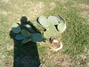 2007918161547_DSCF0017.jpg