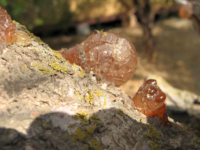 200792510459_IMG_1748.jpg