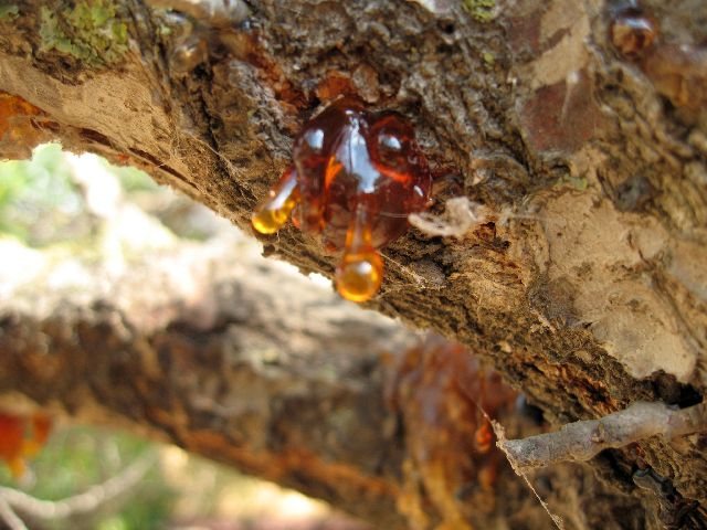 200792510535_IMG_1750.jpg
