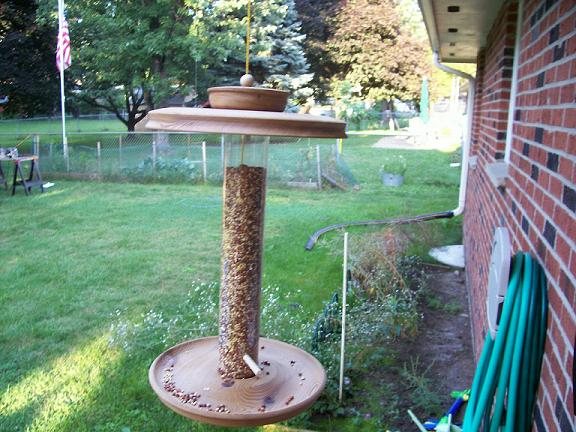 200794232944_bird%20feeder%202.jpg